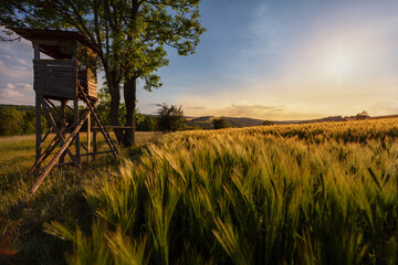 Abendstimmung in idyllischer Landschaft