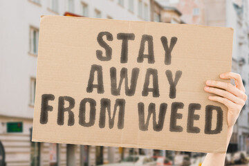 The phrase " Stay away from weed " on a banner in men's hand with blurred sea on the background. Dependence. Dependency. Conflict. Bad. Trouble. Difficulty. Anxiety. Difficult. Issue. Prevention