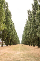 Utrecht Leidsche Werf by Vincent Kuyvenhoven