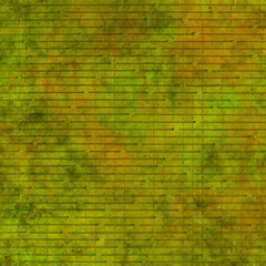 Obraz premium Green yellow plastered wall mossy texture