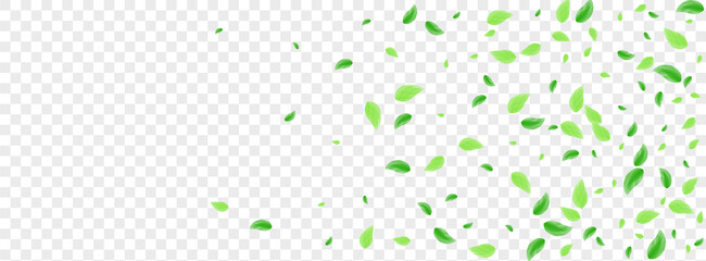 Greenish Leaf Background Transparent Vector. Vegetation Decor Texture. Style Frame. Green Fresh Design. Foliage Vitality.