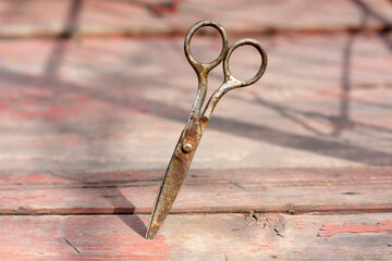 Old rusty scissors on a wooden background. A sharp object is stuck into the painted stripped boards. The concept of vintage cutting tools. Retro style. A copy of the space. Free space for text.