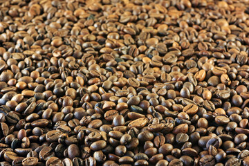 Brown coffee beans for making coffee