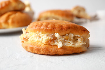 Tasty sochnik with cottage cheese on white background