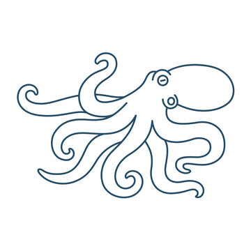 Octopus line art drawing