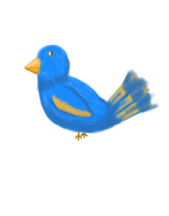 blue bird isolated on white background