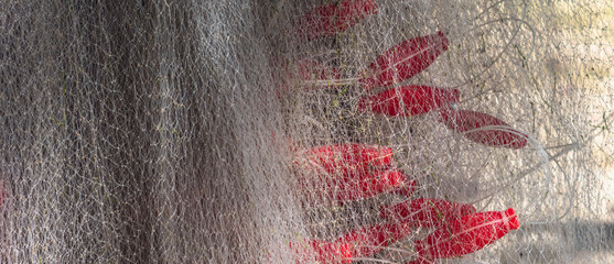 BANNER Abstract real white gray background. Close-up sail sea fishing line airy mesh texture, red...