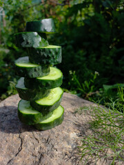 Cucumbers in the forest