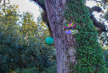 Live Oak Tree Decorated with Jester's face and Green Lantern for Mardi Gras