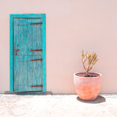 Cacti in pots outdoors. Minimal floral botanical aesthetic. Beige colours trends. Travel. Canary Island