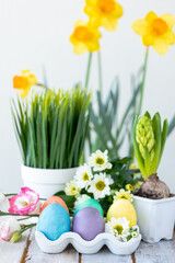 Easter composition, holiday home decor. Colourful eggs, flowers on the white wooden table. Copy space for text