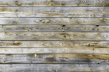 Fototapeta premium Wood texture background