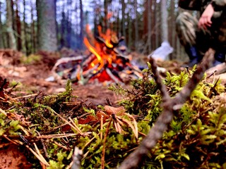 fire in the woods