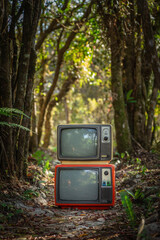 Two vintage televisions stacked in forest background, outdoor