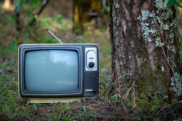 Retro old TV on green grass near trees in forest, outdoors