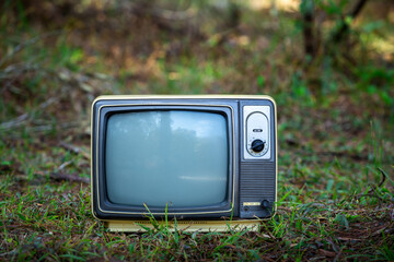 Retro old TV on green grass, outdoor
