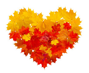Stylized heart made from leaves isolated on white. Bright stylized heart made of maple leaves.