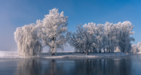 winterwonderland freeze trees