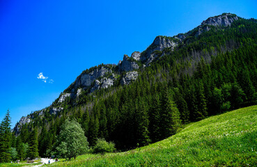 tatry, zakopane, karpaty , giewont, Polska, dolina kościeliska, morskie oko , dolina gąsienicowa. kasprowy wierch - obrazy, fototapety, plakaty