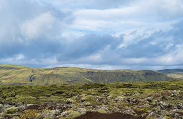 Fototapeta premium Scenic autumn green lava fields near Fjadrargljufur Canyon in Iceland. Green moss on volcanic lava stones. Unique lava fields growth after Laki volcano eruption.