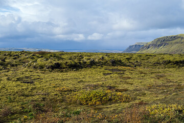 Fototapeta premium Scenic autumn green lava fields near Fjadrargljufur Canyon in Iceland. Green moss on volcanic lava stones. Unique lava fields growth after Laki volcano eruption.