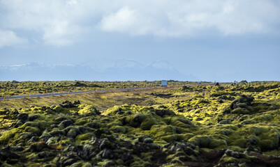 Scenic autumn green lava fields near Fjadrargljufur  Canyon in Iceland. Green  moss on volcanic lava stones.  Unique lava fields growth after Laki volcano eruption.