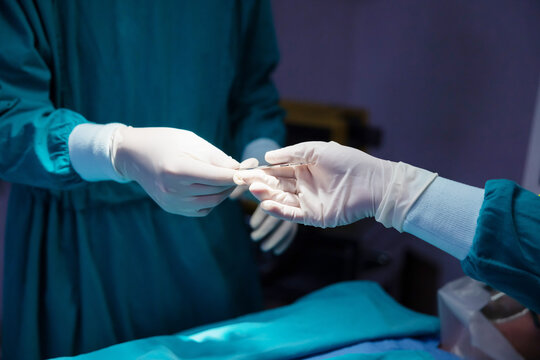 Surgical Doctor Give Surgical Knife to Another Doctor in the Operating Room