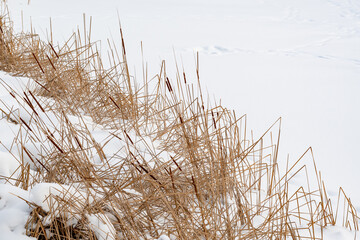 Beautiful city landscape in snowy winter 