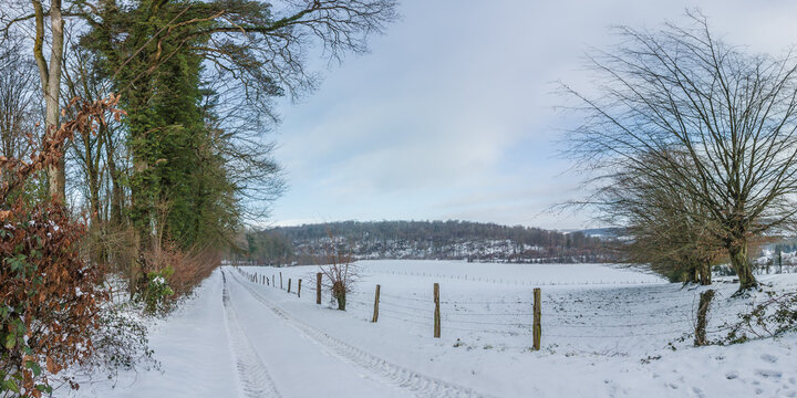 chemin enneig&eacute; en lisi&egrave;re de foret