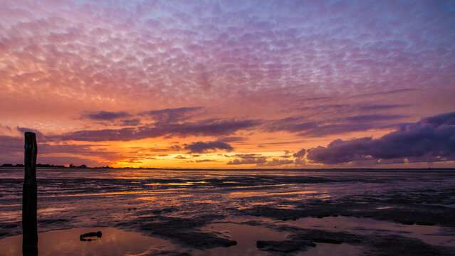 coucher de soleil sur la baie du mont saint michel en bretagne l'&eacute;t&eacute; avec poteau et eau au premier plan