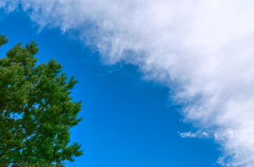 Partly Cloudy Skies under Blue Sky in Summer