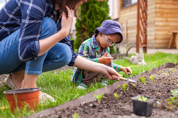 Child and mother gardening in vegetable garden in backyard