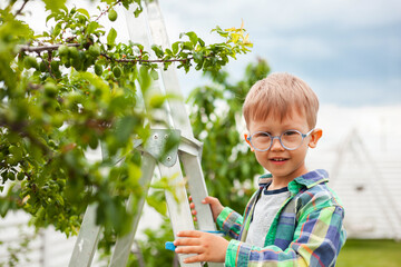child on ladder tree, gardening in backyard garden