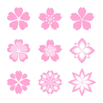set of pink flowers