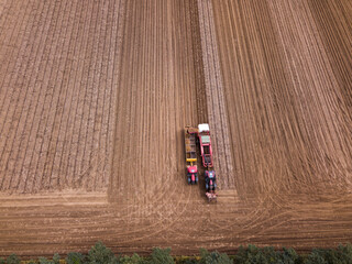 Woodbridge Suffolk UK August 12 2021: A tractor with a harvesting machine harvesting potatoes while...