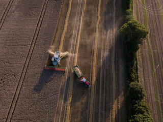 Woodbridge Suffolk UK August 12 2021: Aerial shot of combine loading off corn grains into tractor trailer. Farming concept, harvesting concept