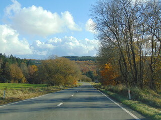 camino otoño