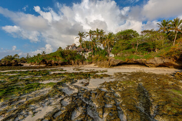 Panoramic view of the ocean coast with houses, palm trees and rocks. In the foreground, a rocky shoal