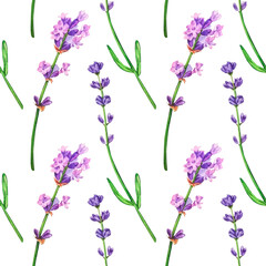 Seamless background, lavender painted with watercolor