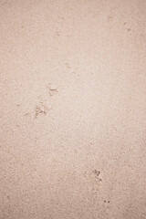 Sand texture