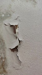 Cracked texture of dry paint on a mossy wall. rough pattern background