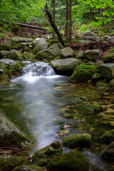 Obraz premium Mountain stream with stones with clear water
