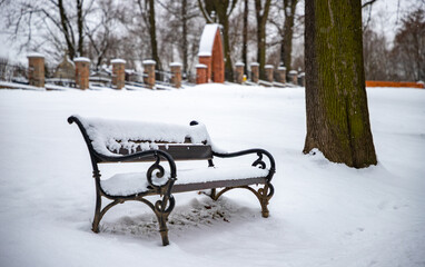 Bench in the Winter