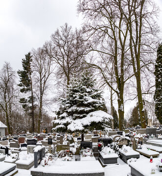 Cemetery in the Winter
