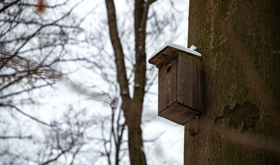 Birdhouse in the Winter