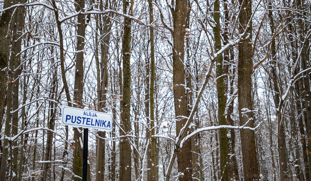 Polish Street Sign in the Winter
