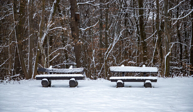 Benches in the Winter