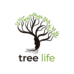 Obraz premium Tree life logo template