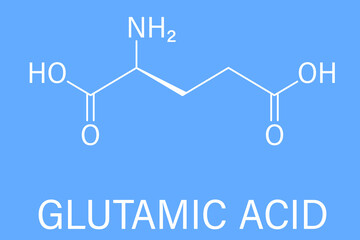 Glutamic acid or l-glutamic acid, Glu, E, amino acid and neurotransmitter molecule. Skeletal formula.