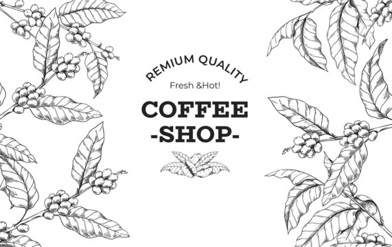 Coffee tree framing. Hand drawn beans and plant branches for morning drink package. Cafeteria or shop organic Arabica grains design. Text and leaves sketch. Vector background engraving